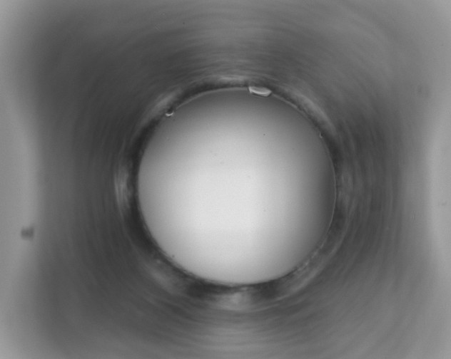 X0000111890116200907301205