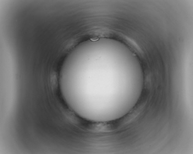 X0000111890121200907301205