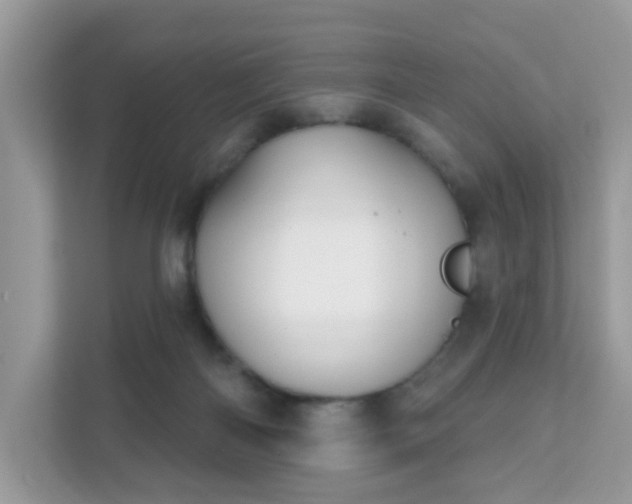 X0000111890122200907301205