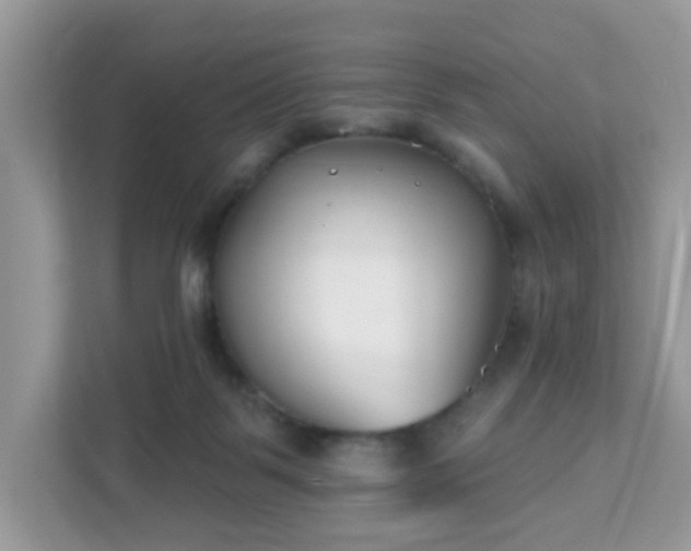 X0000111890123200907301205