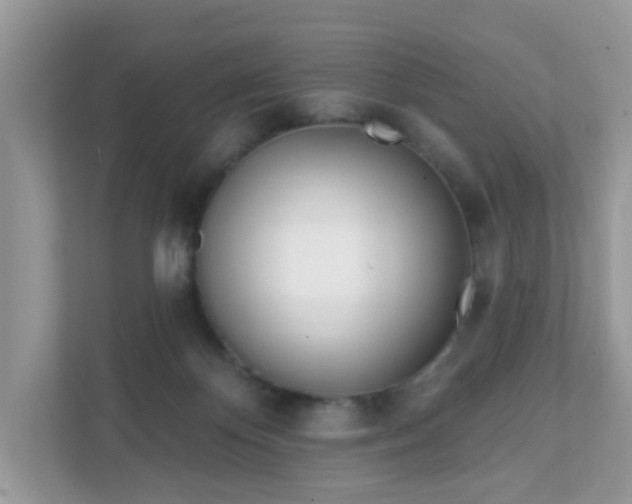 X0000111890124200907301205