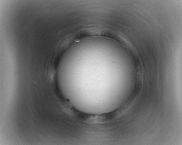 X0000111890125200907301205