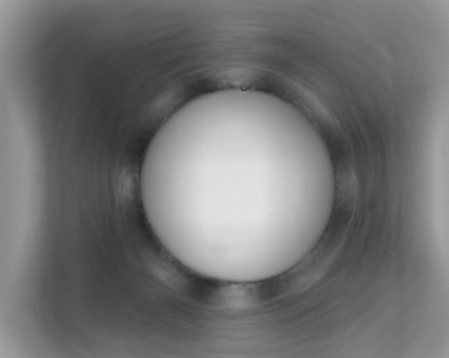 X0000111890126200907301205