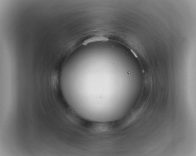 X0000111890127200907301205