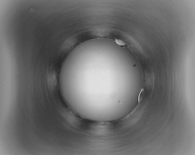 X0000111890128200907301205