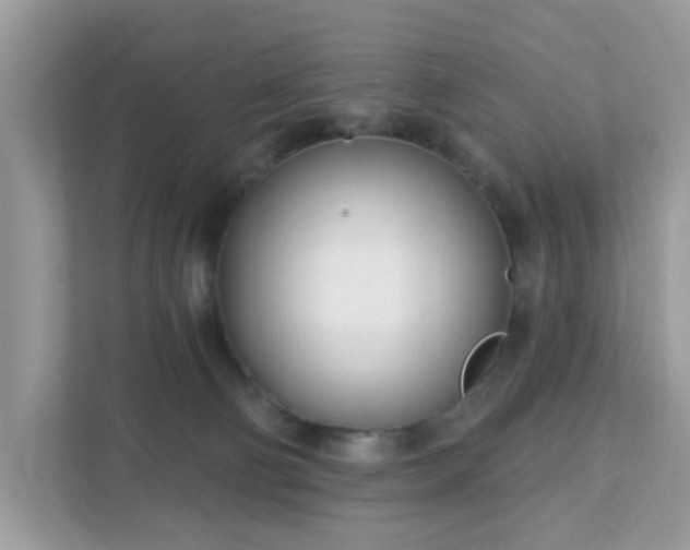 X0000111890130200907301205