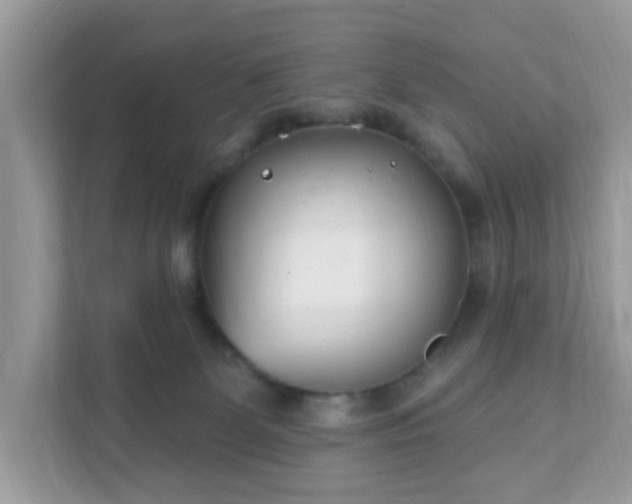 X0000111890131200907301205