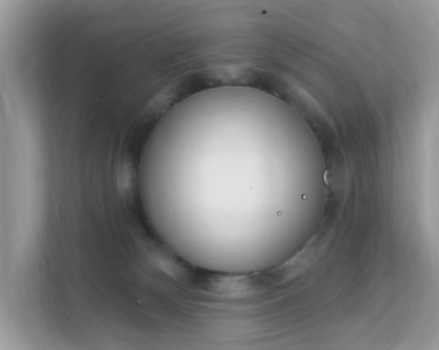 X0000111890132200907301205