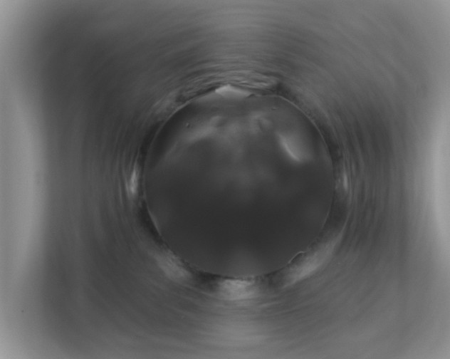 X0000111890139200907301205