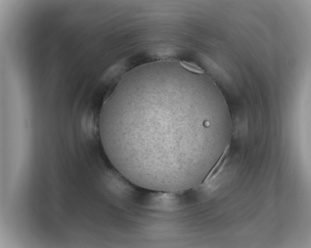 X0000111890140200907301205