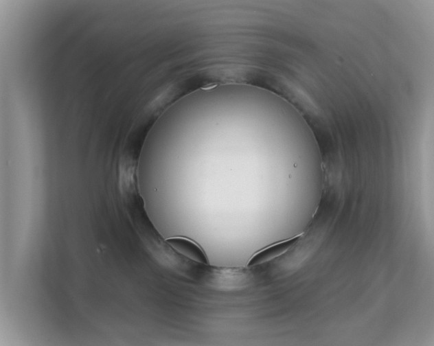 X0000111890141200907301205