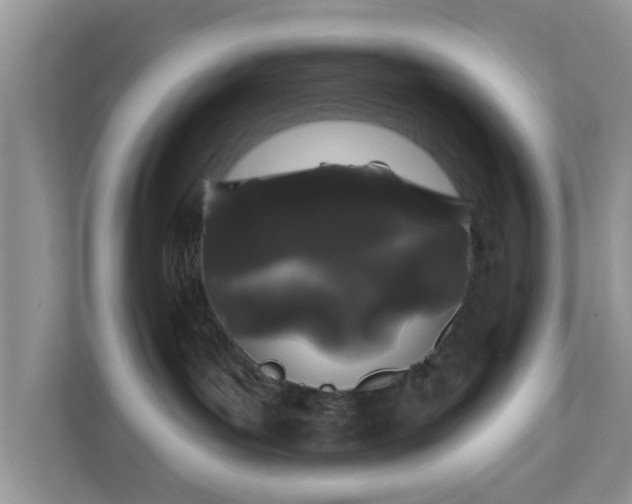 X0000111890143200907301205