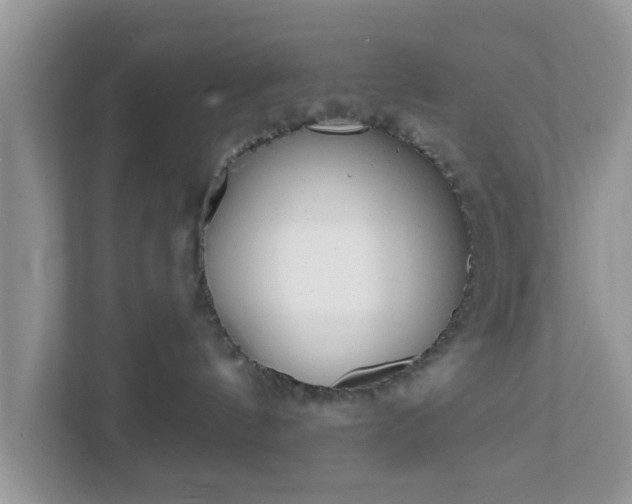 X0000111890144200907301205