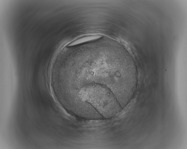 X0000111890145200907301204