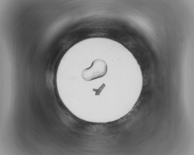 X0000111890146200907301204