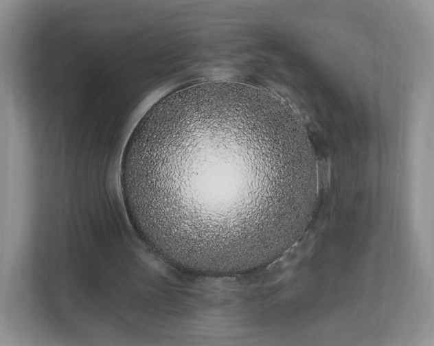 X0000111890147200907301204