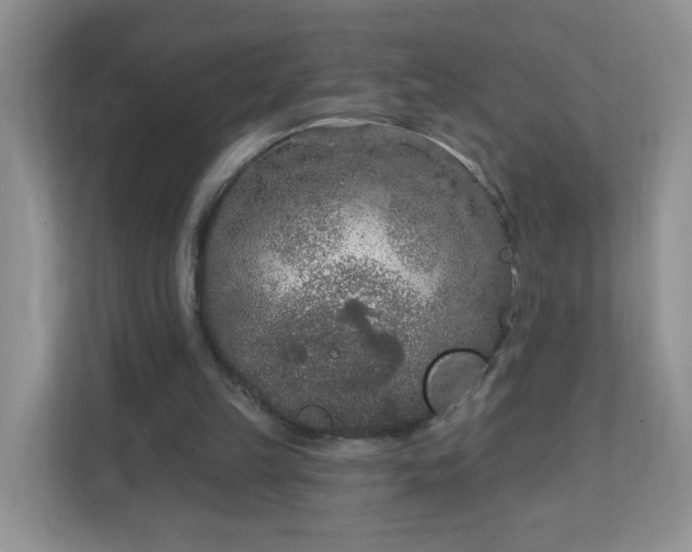 X0000111890149200907301204