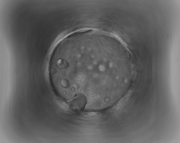 X0000111890151200907301204