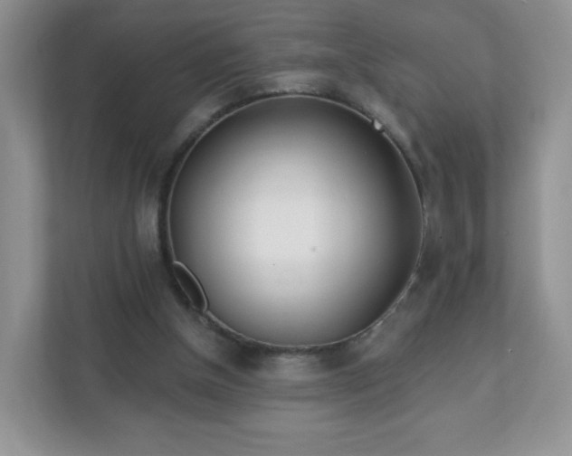 X0000111890154200907301204