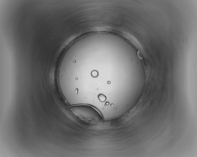 X0000111890155200907301205