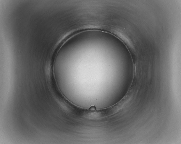 X0000111890156200907301205