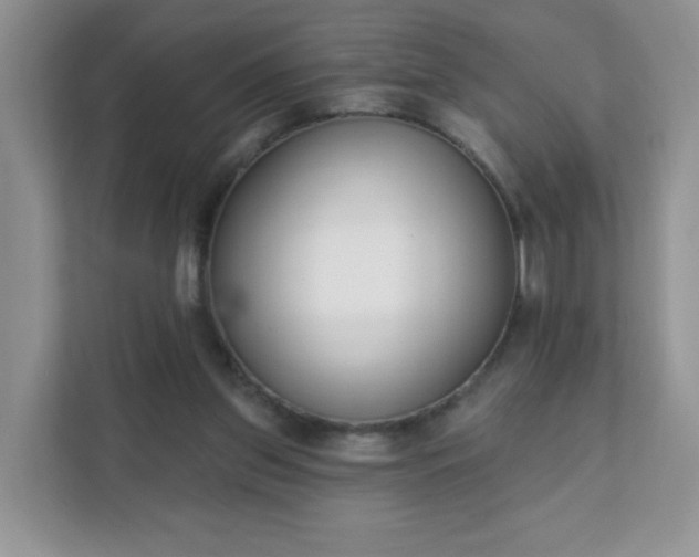 X0000111890157200907301205