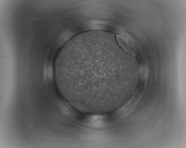 X0000111890158200907301205