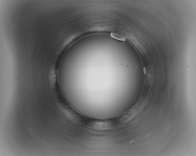 X0000111890160200907301205