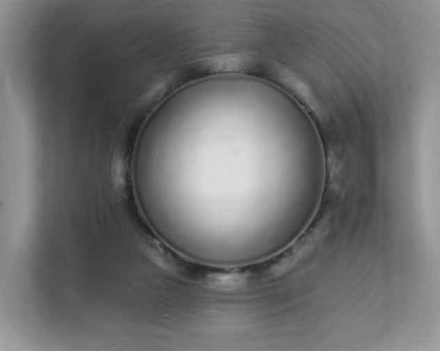 X0000111890161200907301205