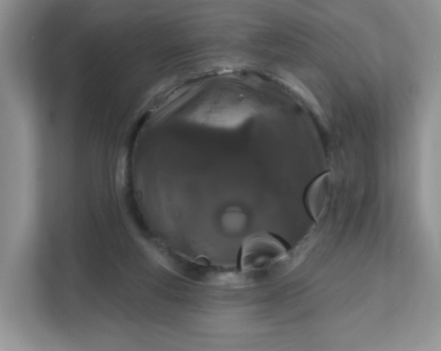 X0000111890163200907301205