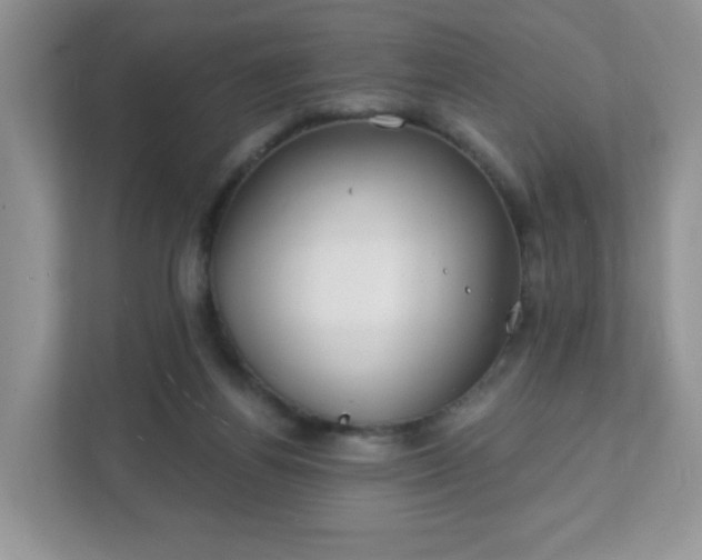 X0000111890164200907301205