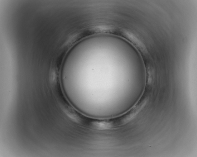 X0000111890165200907301205