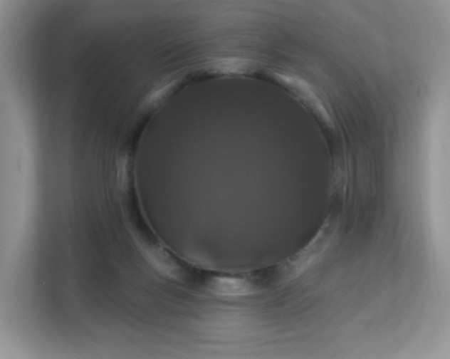 X0000111890167200907301205