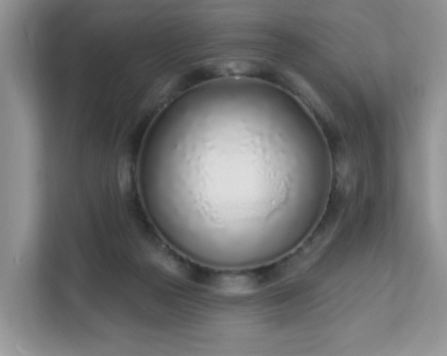 X0000111890169200907301205