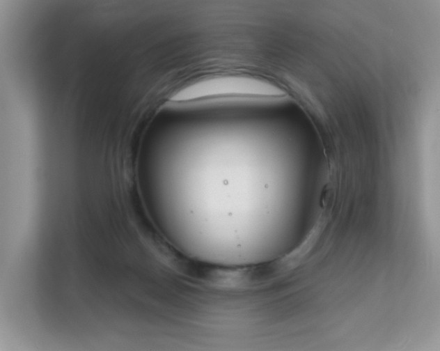 X0000111890170200907301205