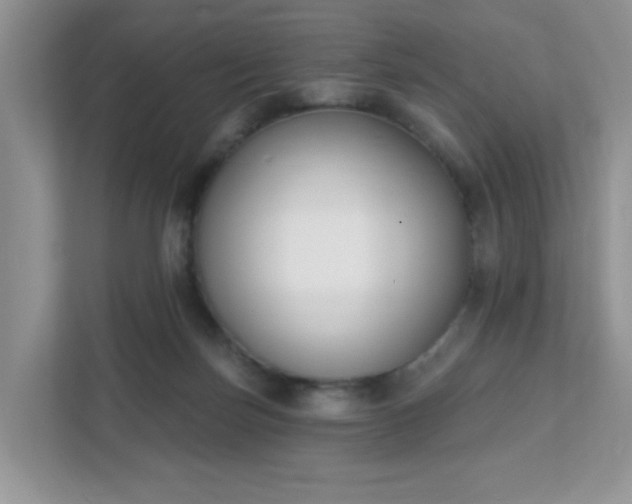 X0000111890171200907301205