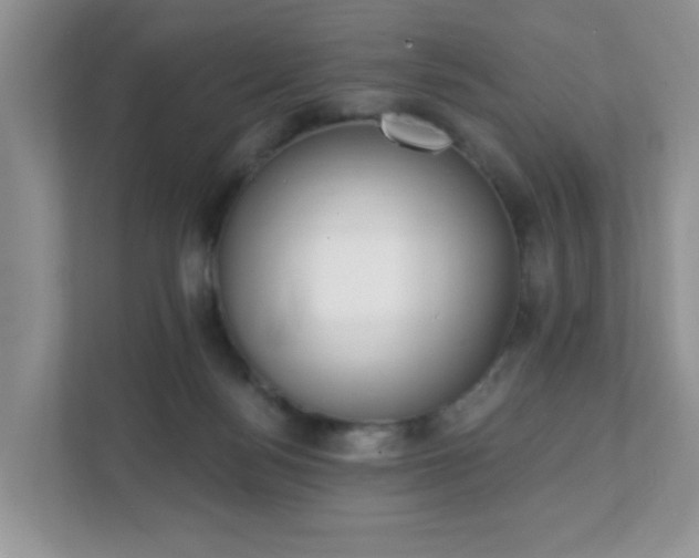 X0000111890172200907301205