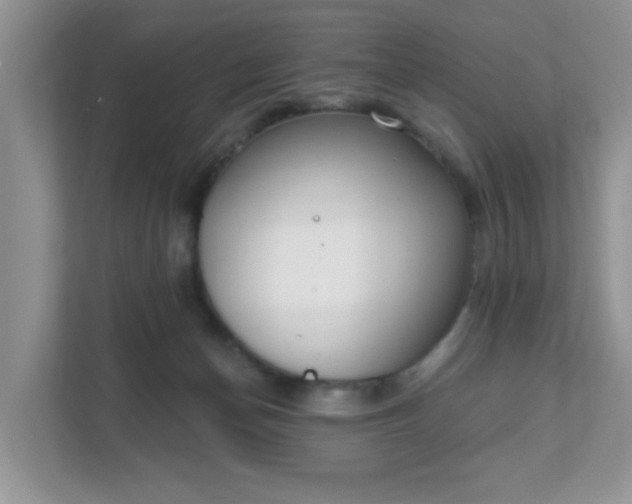 X0000111890174200907301205