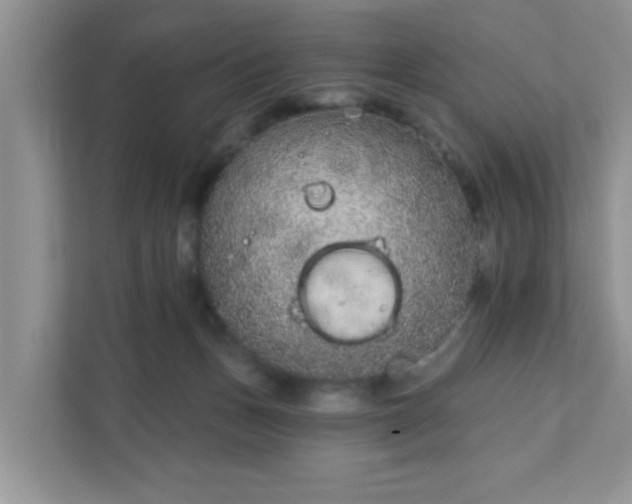 X0000111890175200907301205