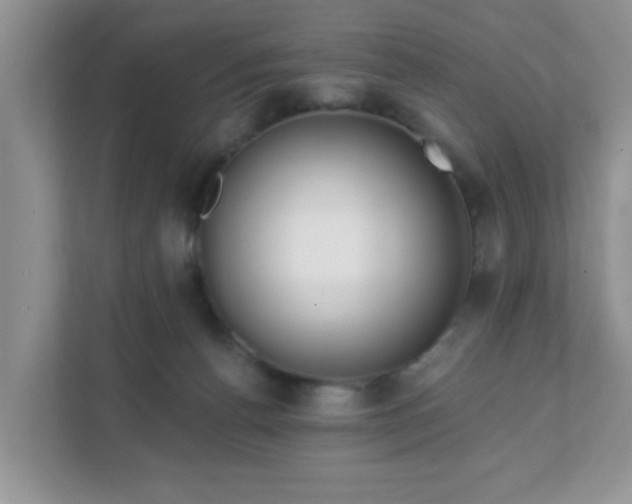 X0000111890176200907301205