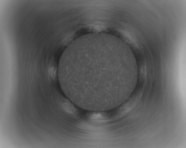 X0000111890177200907301205