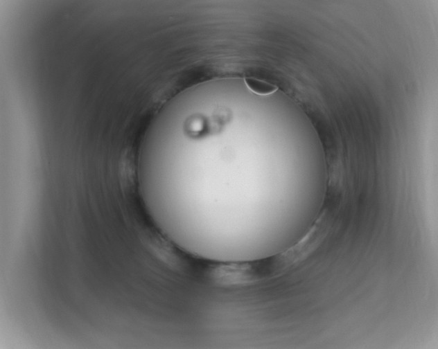 X0000111890179200907301205