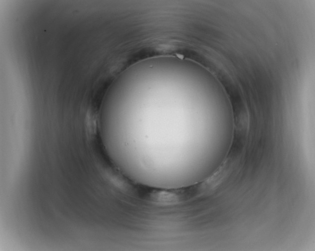 X0000111890180200907301205