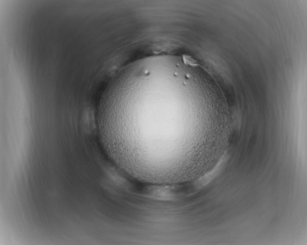 X0000111890182200907301205