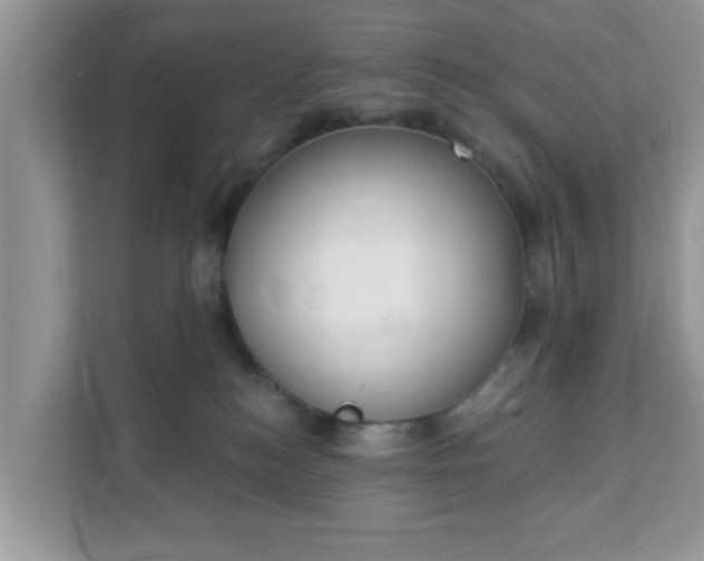 X0000111890184200907301205