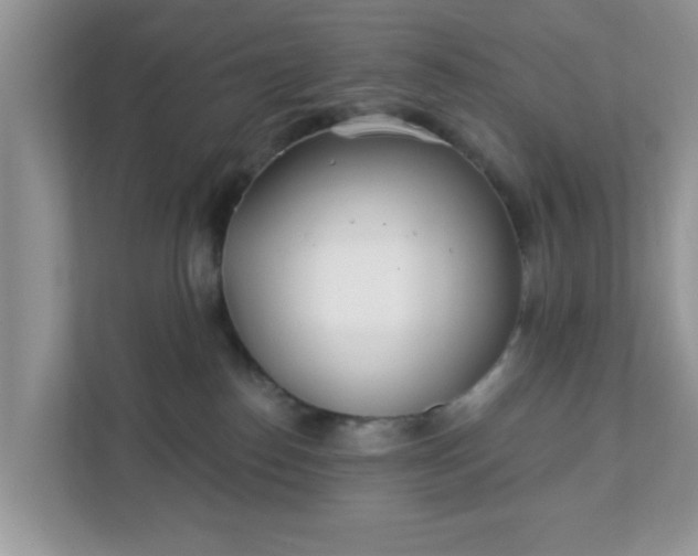 X0000111890186200907301205