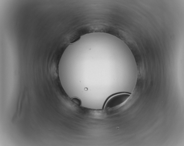 X0000111890187200907301205