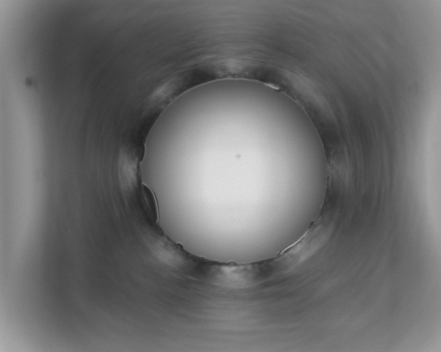 X0000111890188200907301205