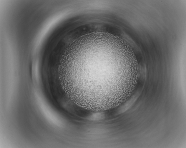 X0000111890189200907301205