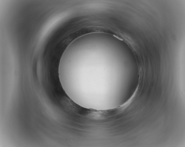 X0000111890190200907301205